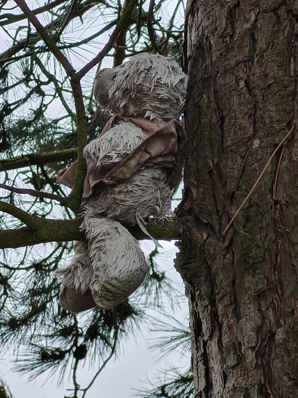 2024-03-10 09 Gorleston Lound Lakes and Hopton.jpg