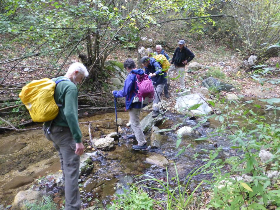 2026-04-24 19 Pat Harrington Memorial.jpg