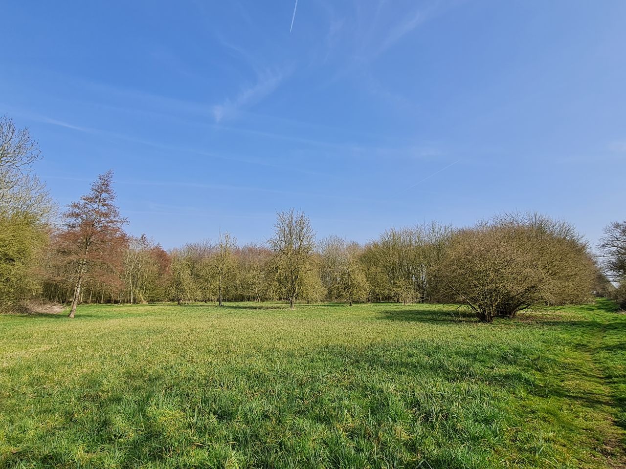 2025-03-24 12 Pulham Market.jpg