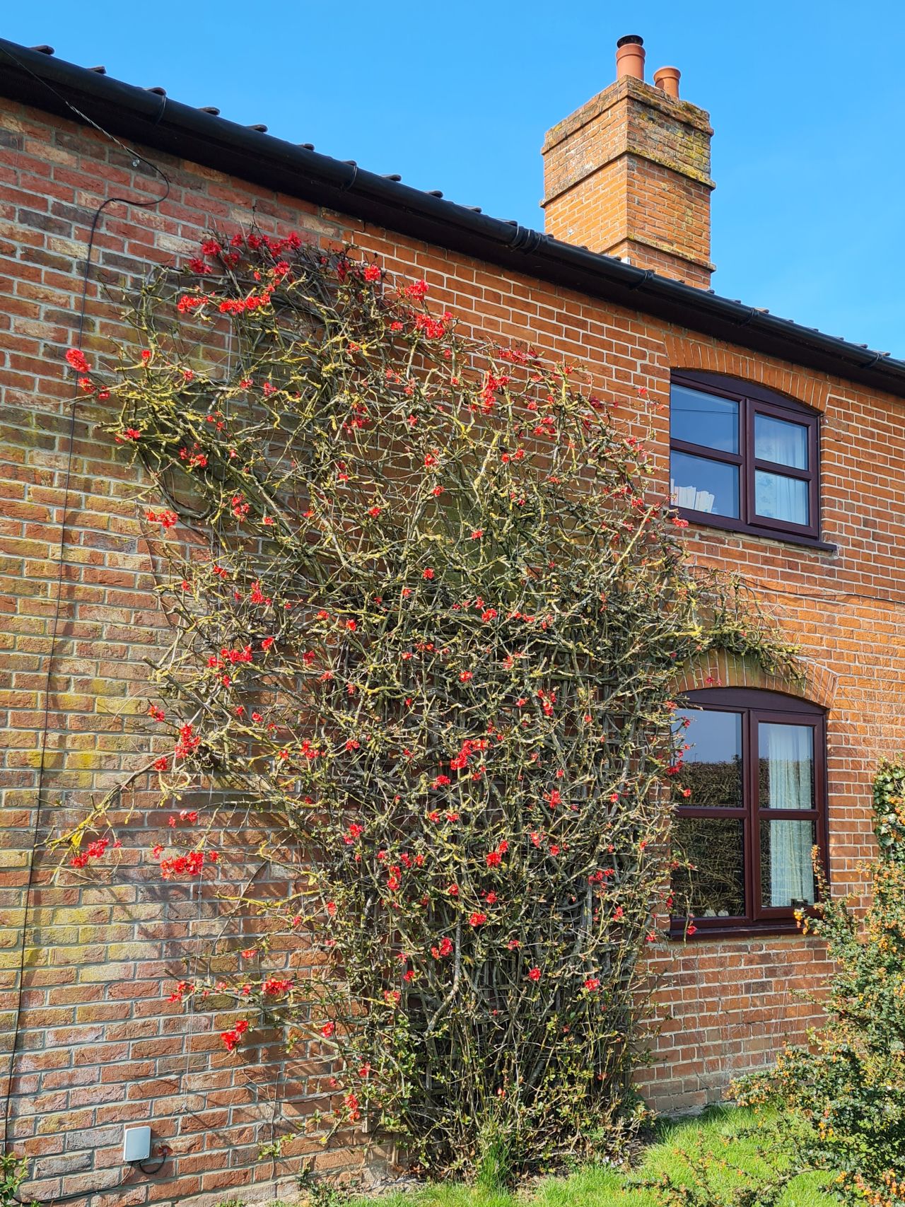 2025-03-24 15 Pulham Market.jpg