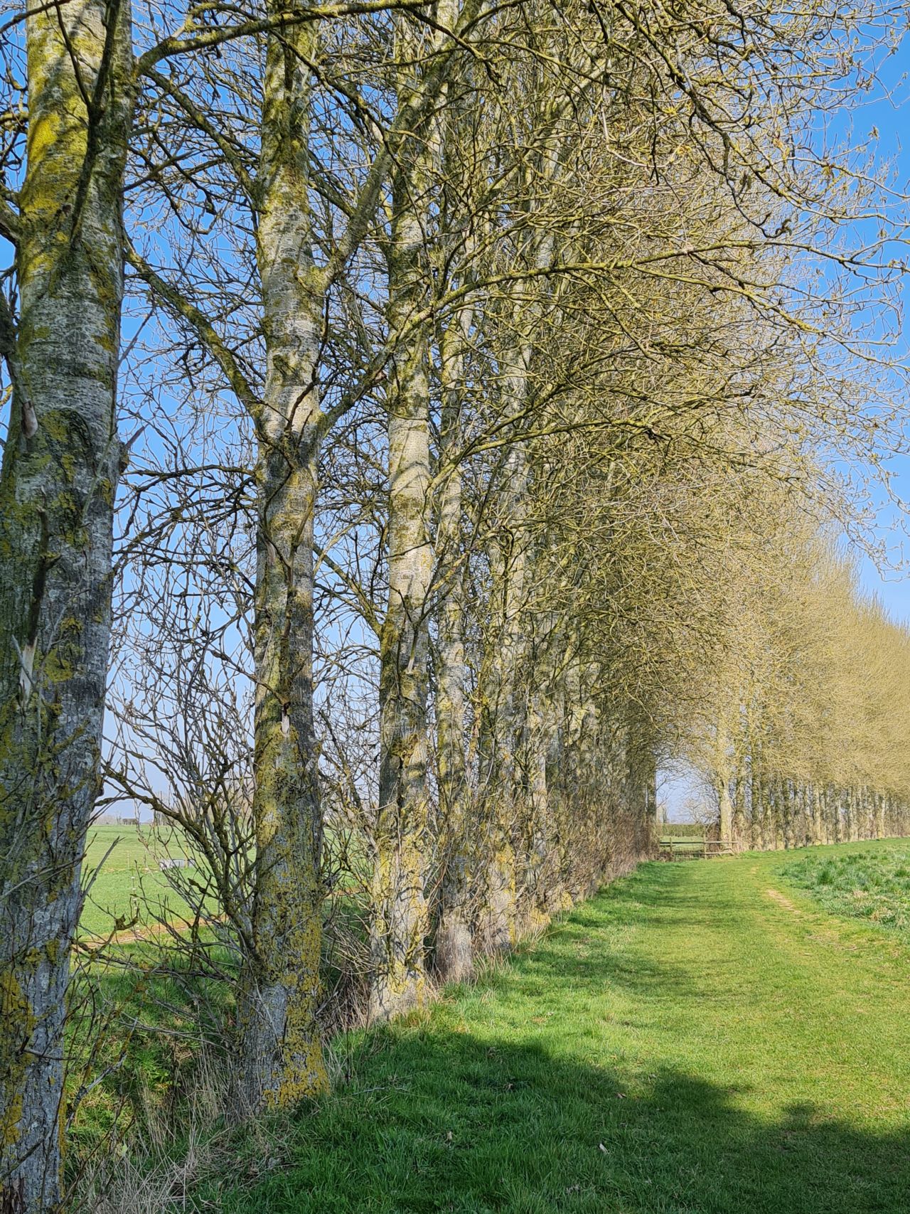 2025-03-24 20 Boudicca Way.jpg