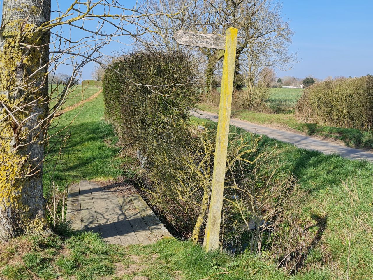 2025-03-24 21 Boudicca Way.jpg