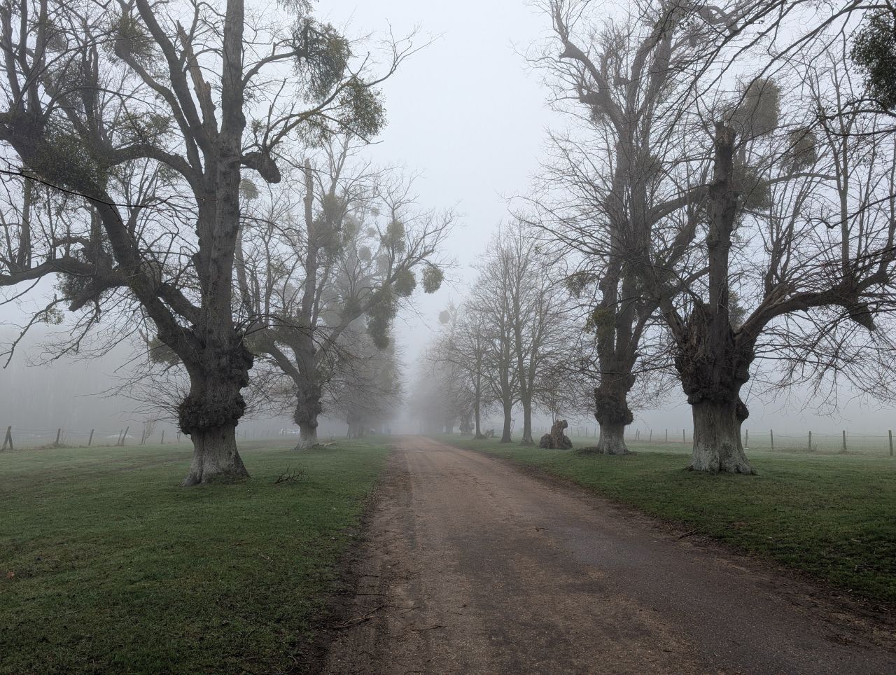 2026-03-04 42 Long Kentwell Park.jpg