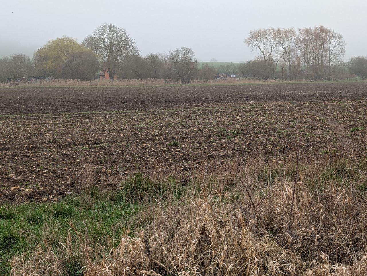 2026-03-04 48 Long Melford to Glemsford.jpg