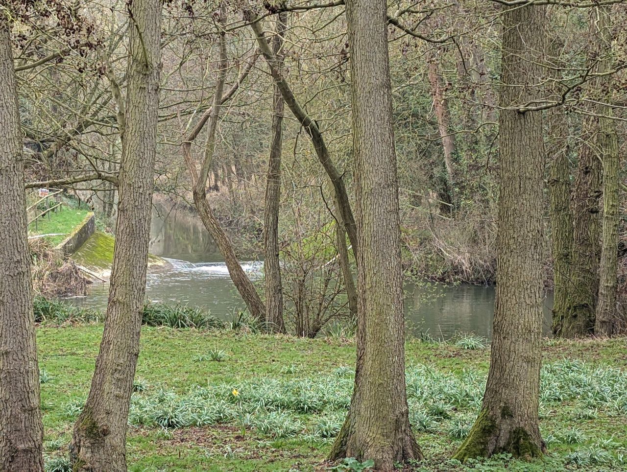 2026-03-04 50 Long Melford to Glemsford.jpg