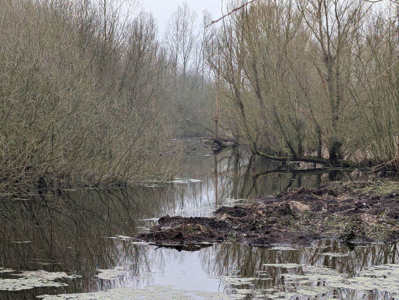 2026-03-04 55 Long Melford to Glemsford.jpg