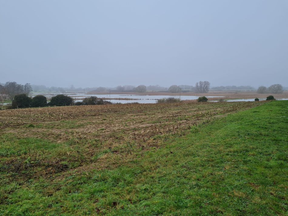 2020-10-07 01 Iken.jpg