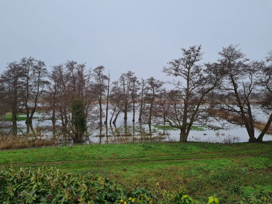 2020-10-07 02 Iken.jpg