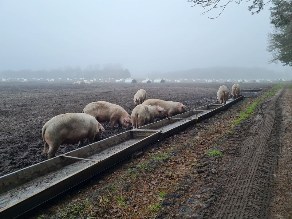 2020-10-07 04 Iken.jpg