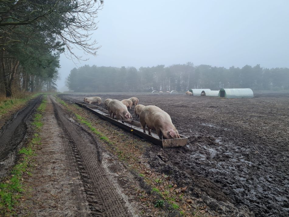 2020-10-07 05 Iken.jpg