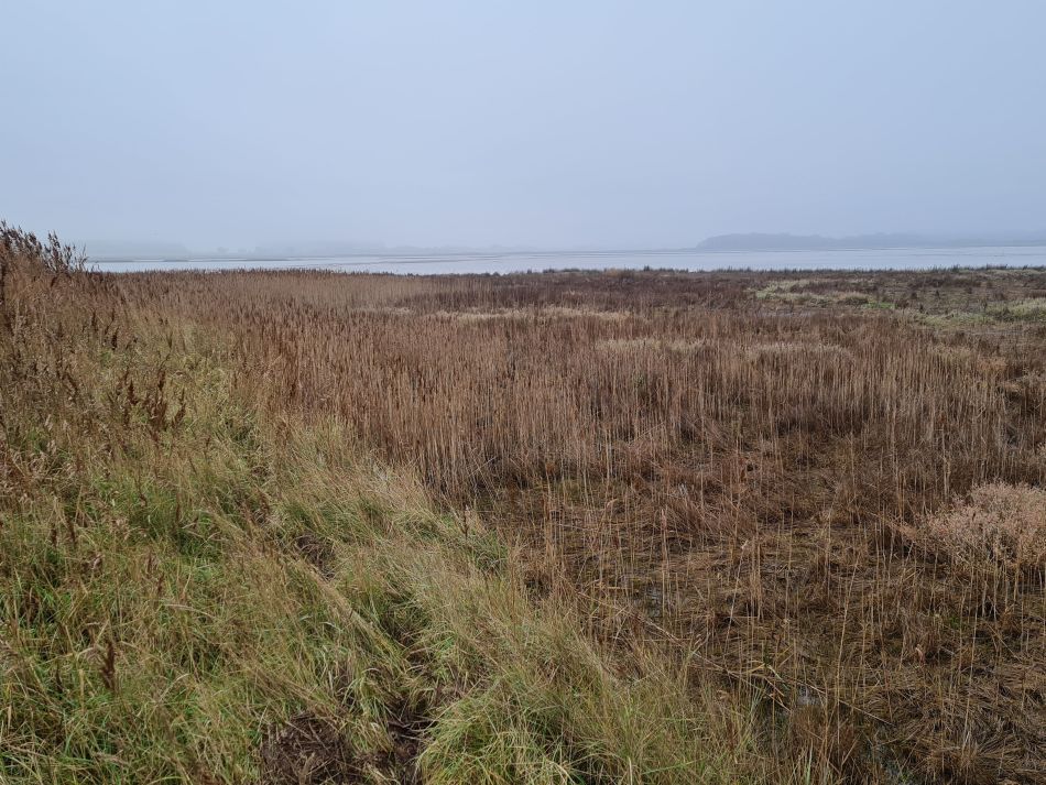 2020-10-07 06 Iken.jpg