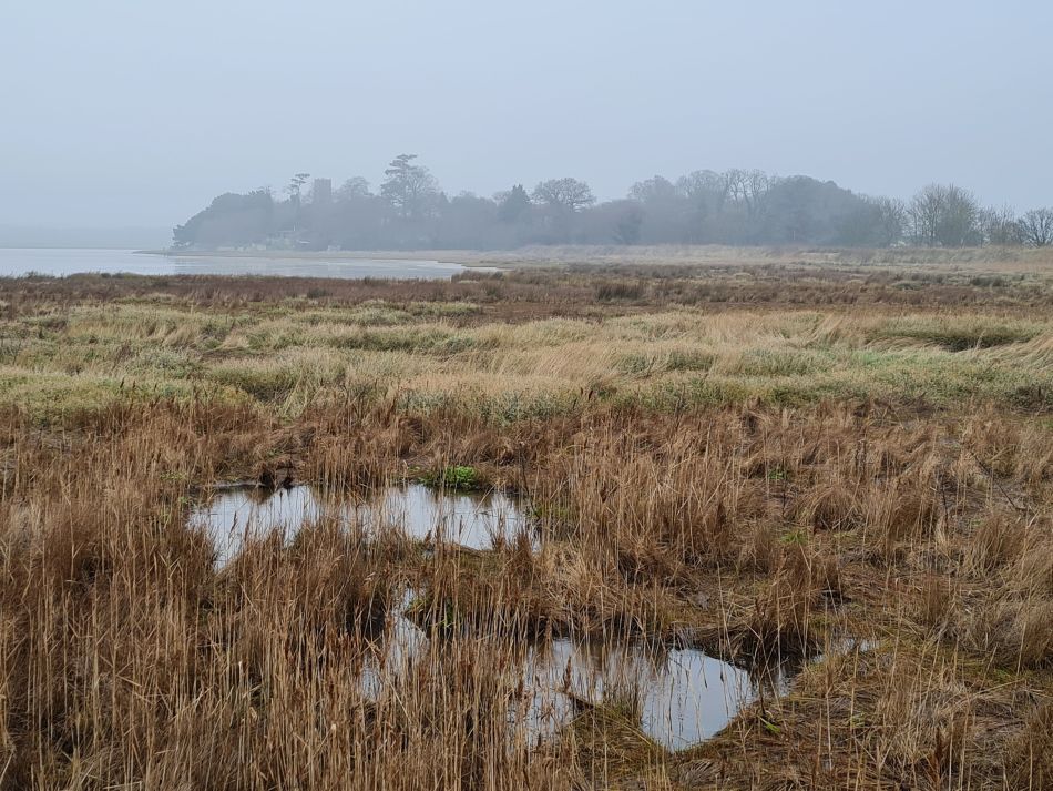 2020-10-07 07 Iken.jpg