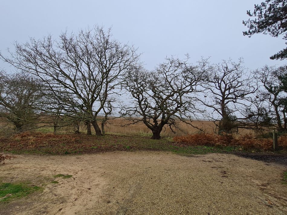 2020-10-07 10 Iken.jpg