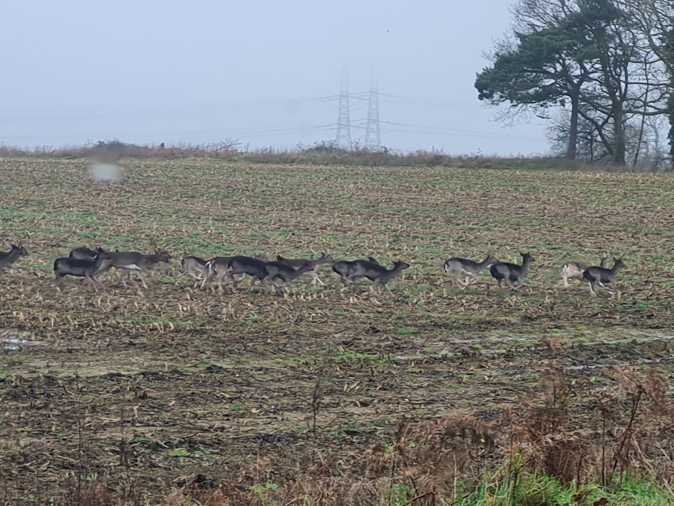 2020-10-07 12 Iken.jpg