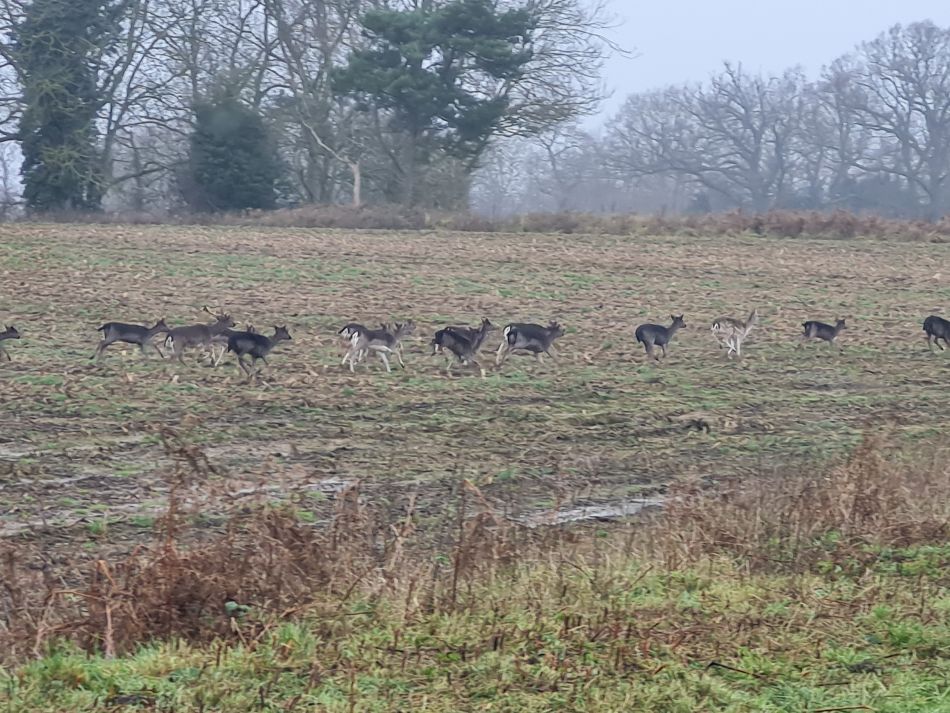 2020-10-07 13 Iken.jpg