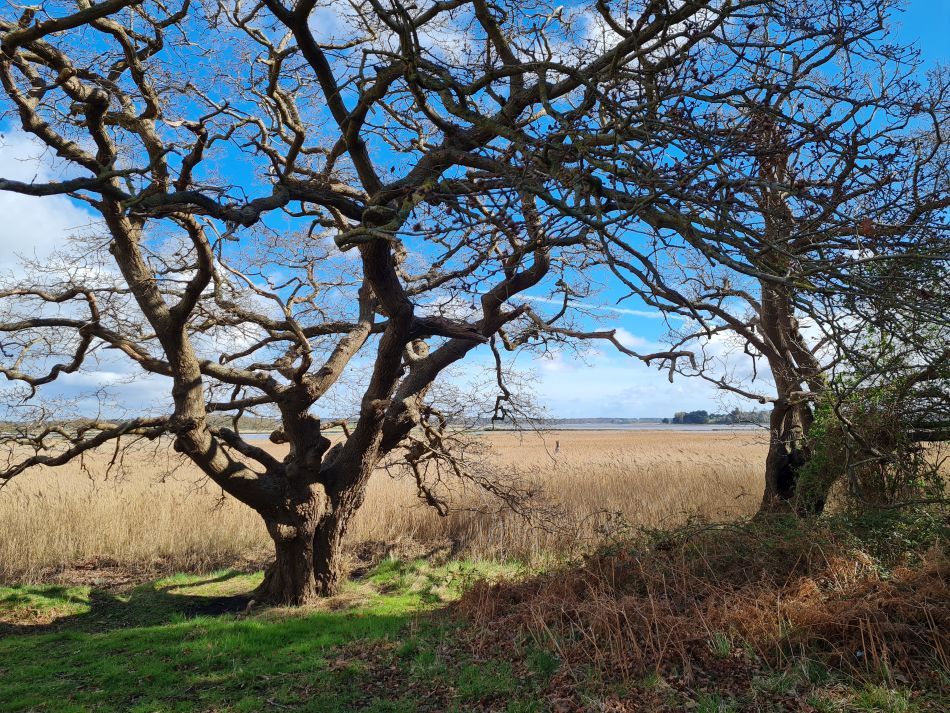 2024-04-10 02 Iken and a Roman and Iron Age Reconstruction.jpg