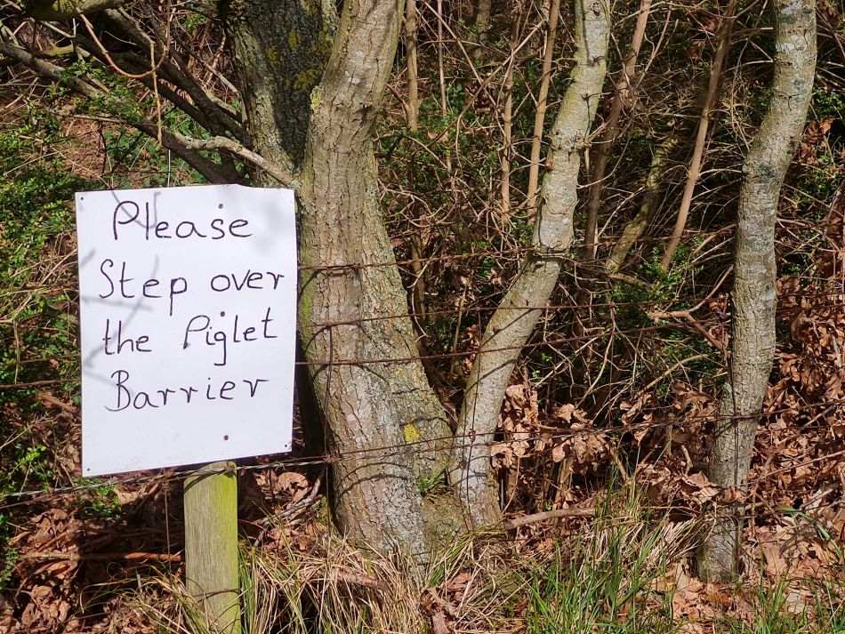 2024-04-10 06 Iken and a Roman and Iron Age Reconstruction.jpg