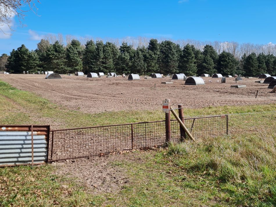 2024-04-10 07 Iken and a Roman and Iron Age Reconstruction.jpg