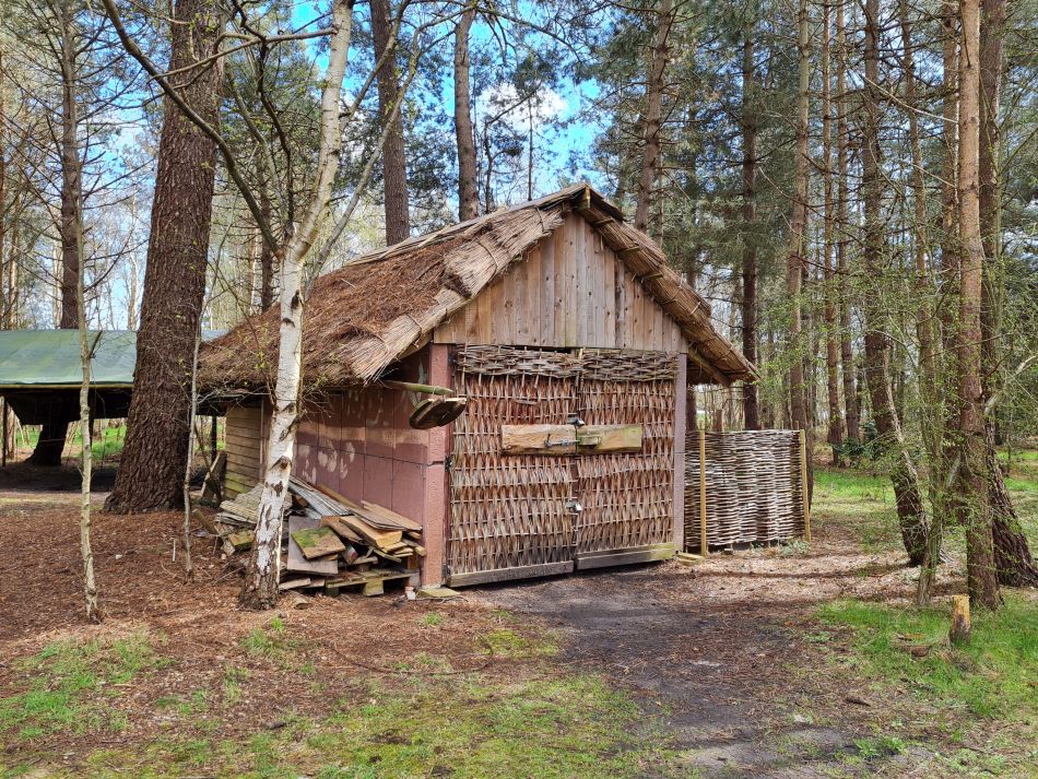 2024-04-10 12 Iken and a Roman and Iron Age Reconstruction.jpg