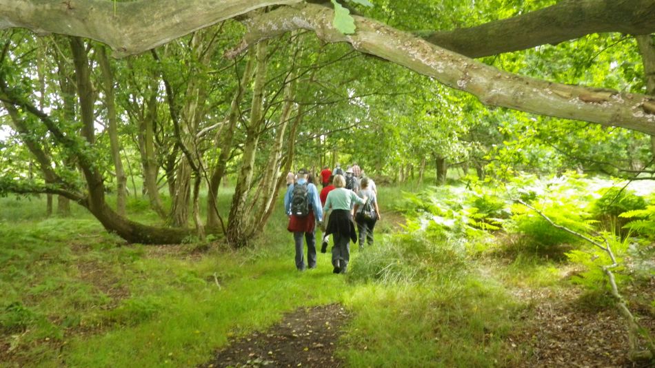 2016-08-03 02 Westwood Marshes and Lodge.jpg