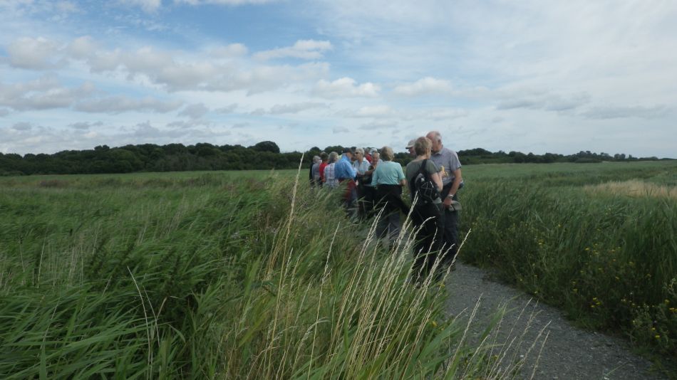 2016-08-03 07 Westwood Marshes and Lodge.jpg