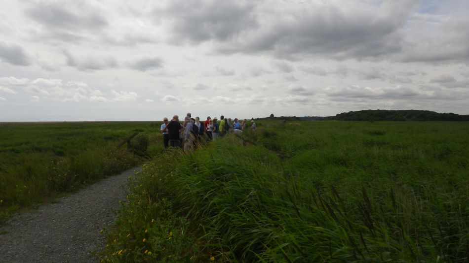 2016-08-03 08 Westwood Marshes and Lodge.jpg