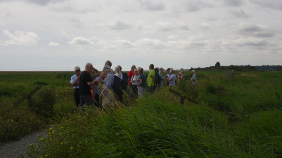 2016-08-03 09 Westwood Marshes and Lodge.jpg