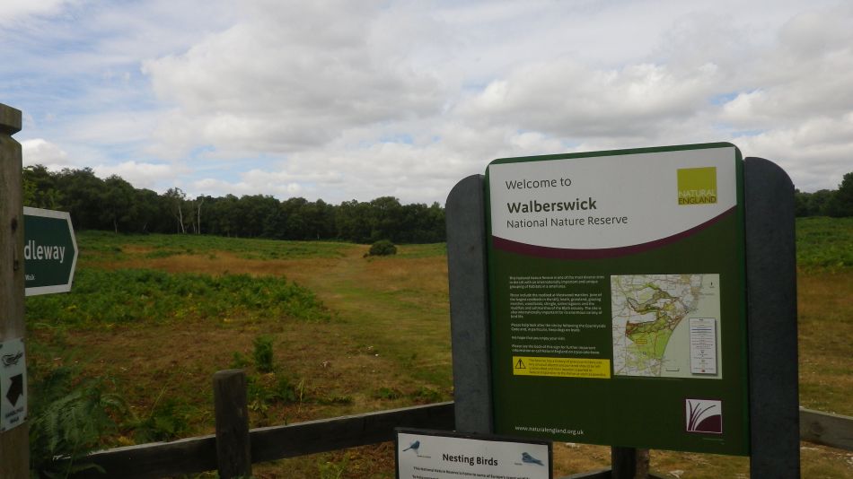 2016-08-03 15 Westwood Marshes and Lodge.jpg