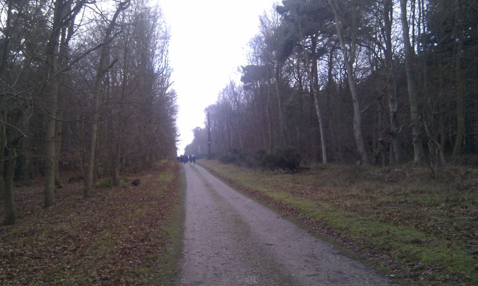 2017-01-11 05 Dunwich Forest.jpg