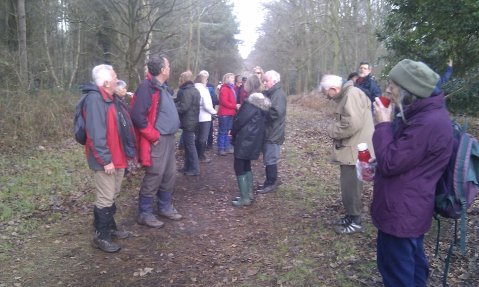 2017-01-11 06 Dunwich Forest.jpg