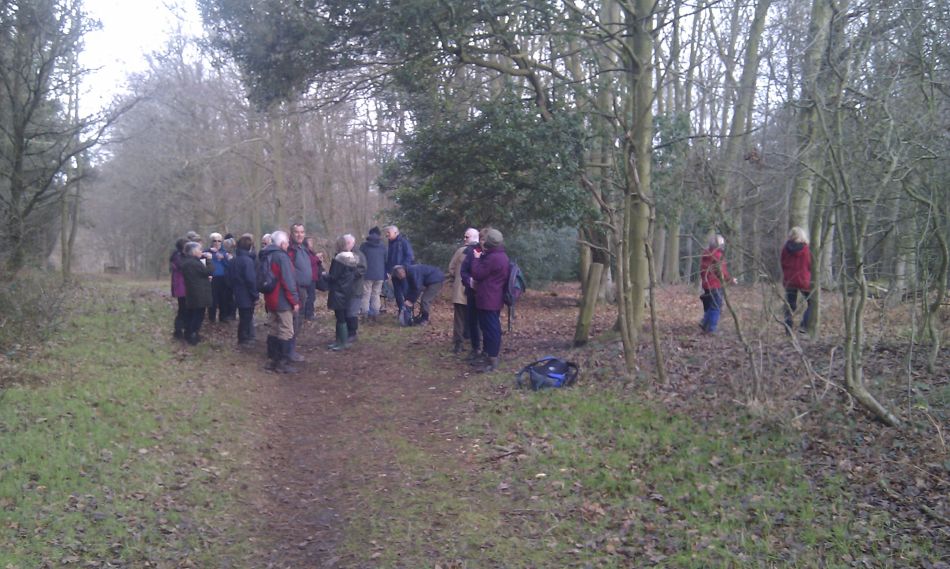 2017-01-11 09 Dunwich Forest.jpg