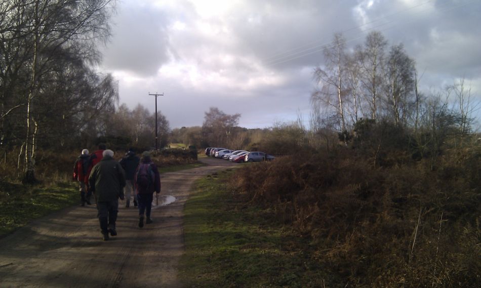 2017-01-11 12 Dunwich Forest.jpg