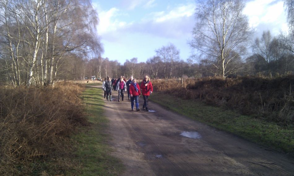 2017-01-11 13 Dunwich Forest.jpg