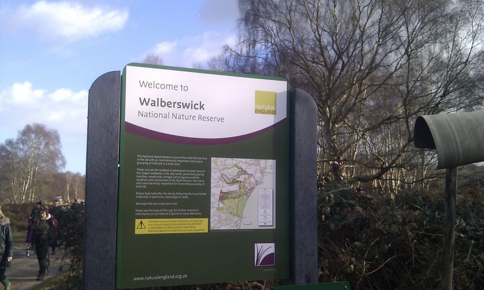 2017-01-11 14 Dunwich Forest.jpg