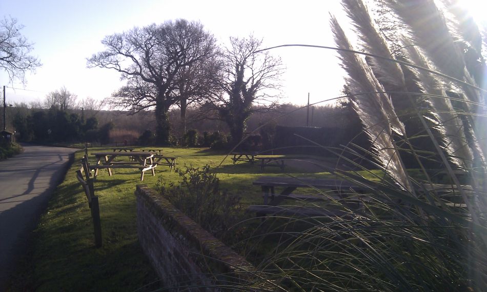 2017-01-11 21 Dunwich Forest.jpg