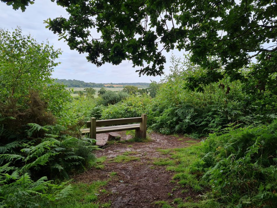 2020-10-14 03 Walberswick.jpg