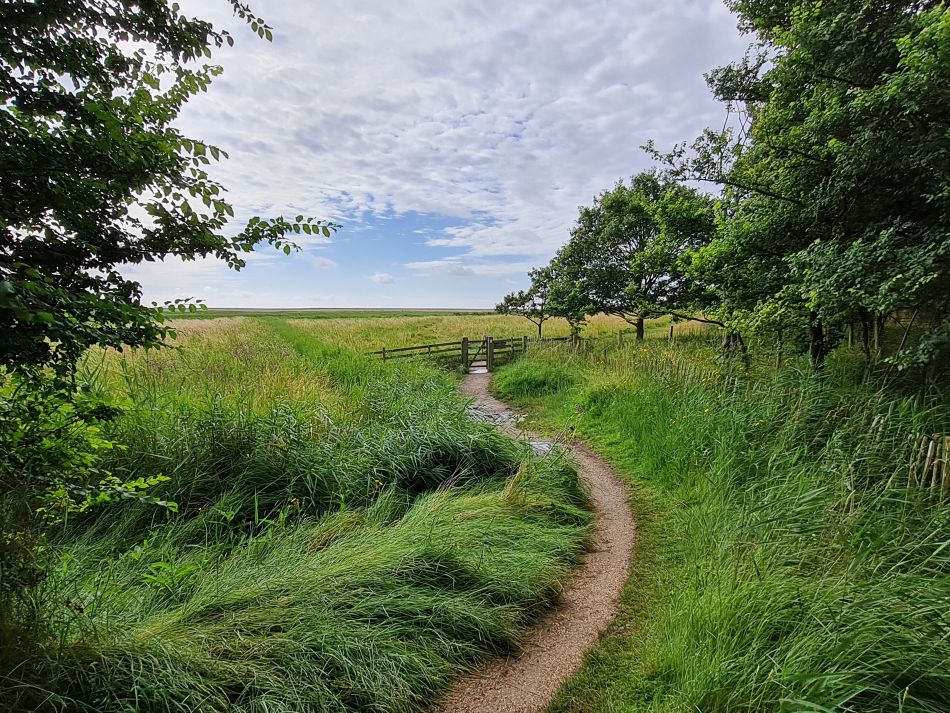 2020-10-14 06 Walberswick.jpg