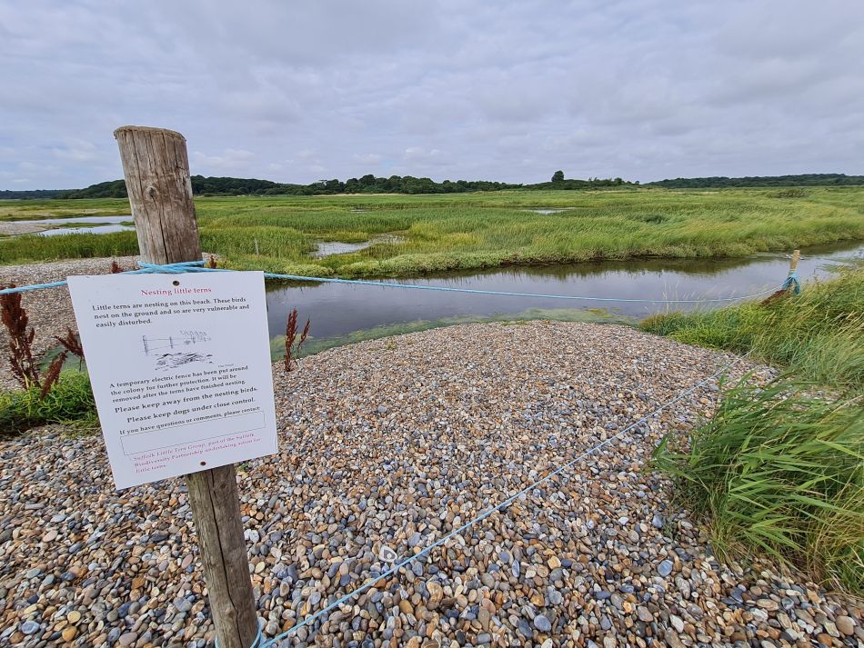 2020-10-14 10 Walberswick.jpg