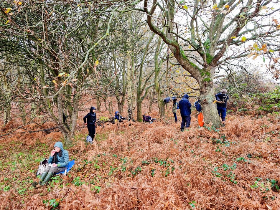 2020-12-03 04 Sandlings 12 - Walberswick.jpg