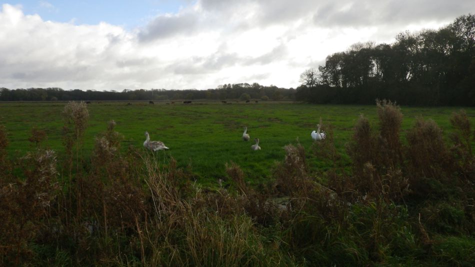 2016-11-13 10 Beccles Circumnavigation.jpg