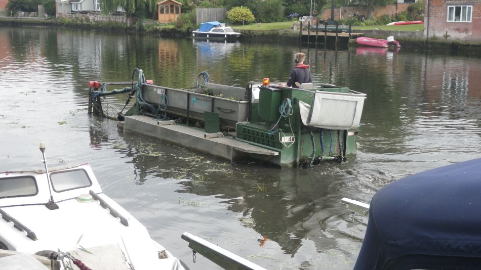 2017-08-15 07 Mowing the river.jpg