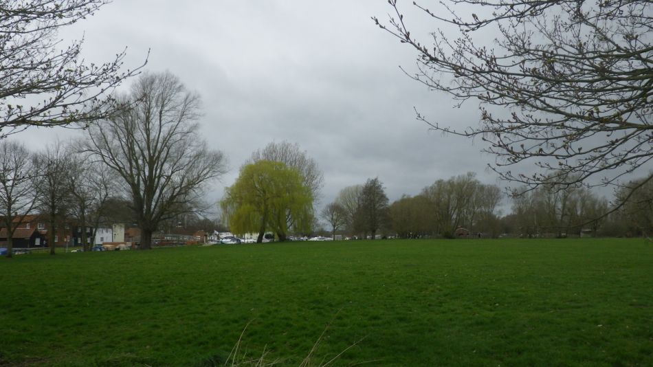 2020-03-18 02 Beccles Marsh Trail.jpg