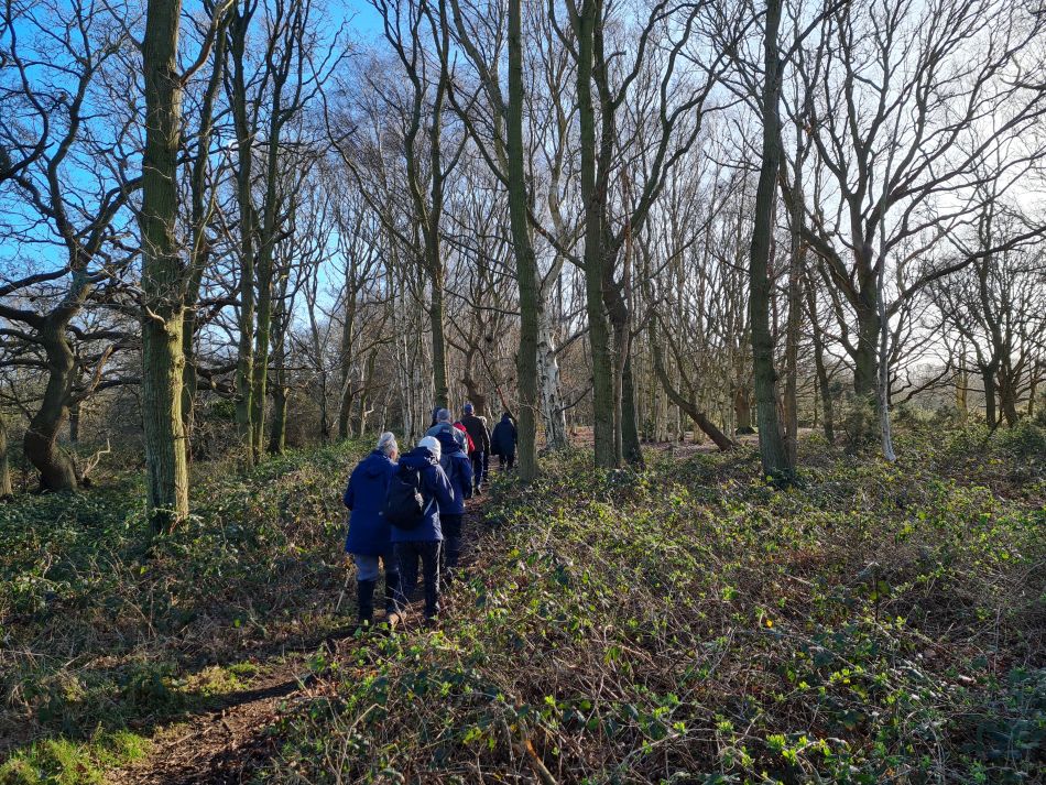 2024-01-26 45 Beccles Common.jpg