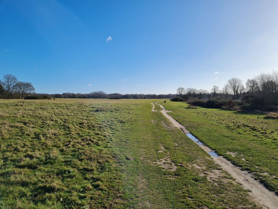 2024-01-26 46 Beccles Common.jpg
