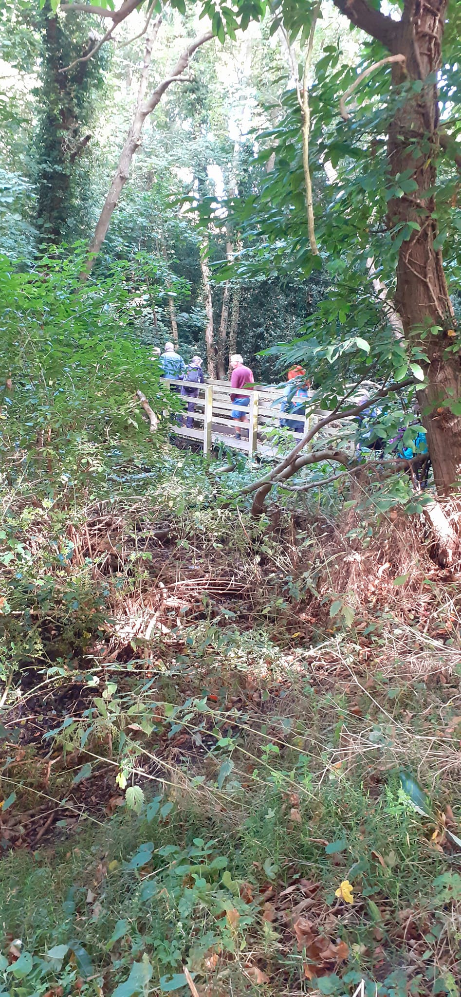 2022-10-02 02 Angles Way 24 - Flixton.jpg