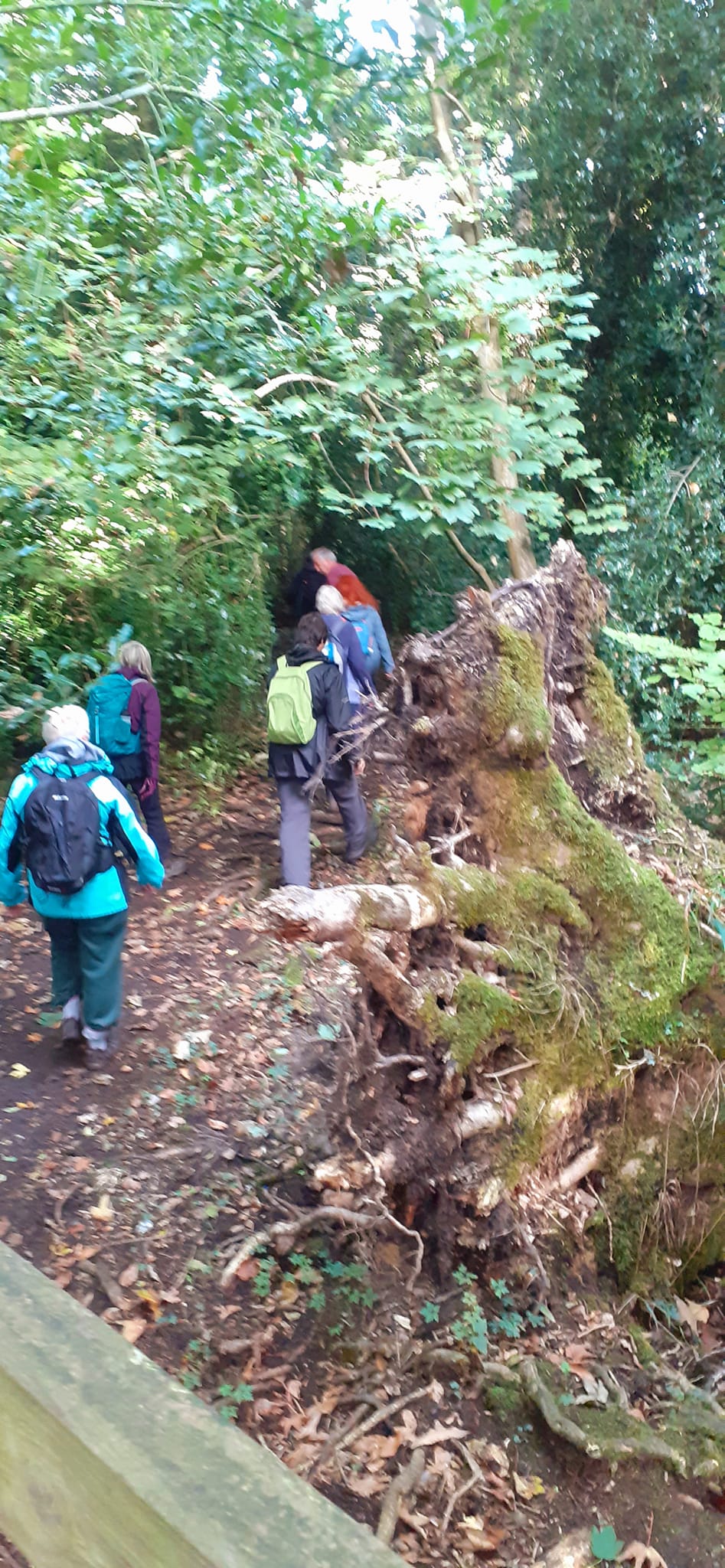 2022-10-02 03 Angles Way 24 - Flixton.jpg