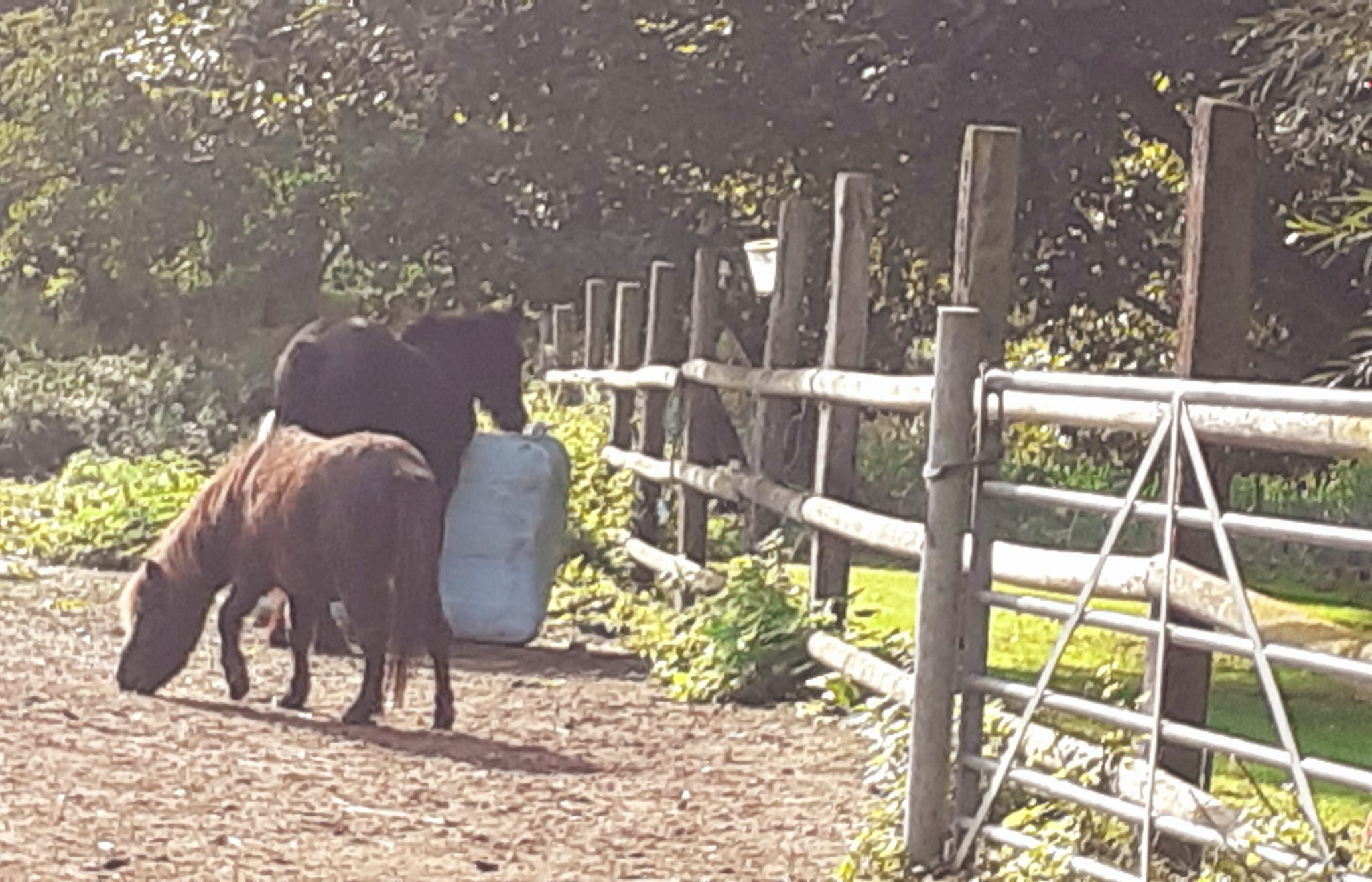 2022-10-02 08 Angles Way 24 - Flixton.jpg