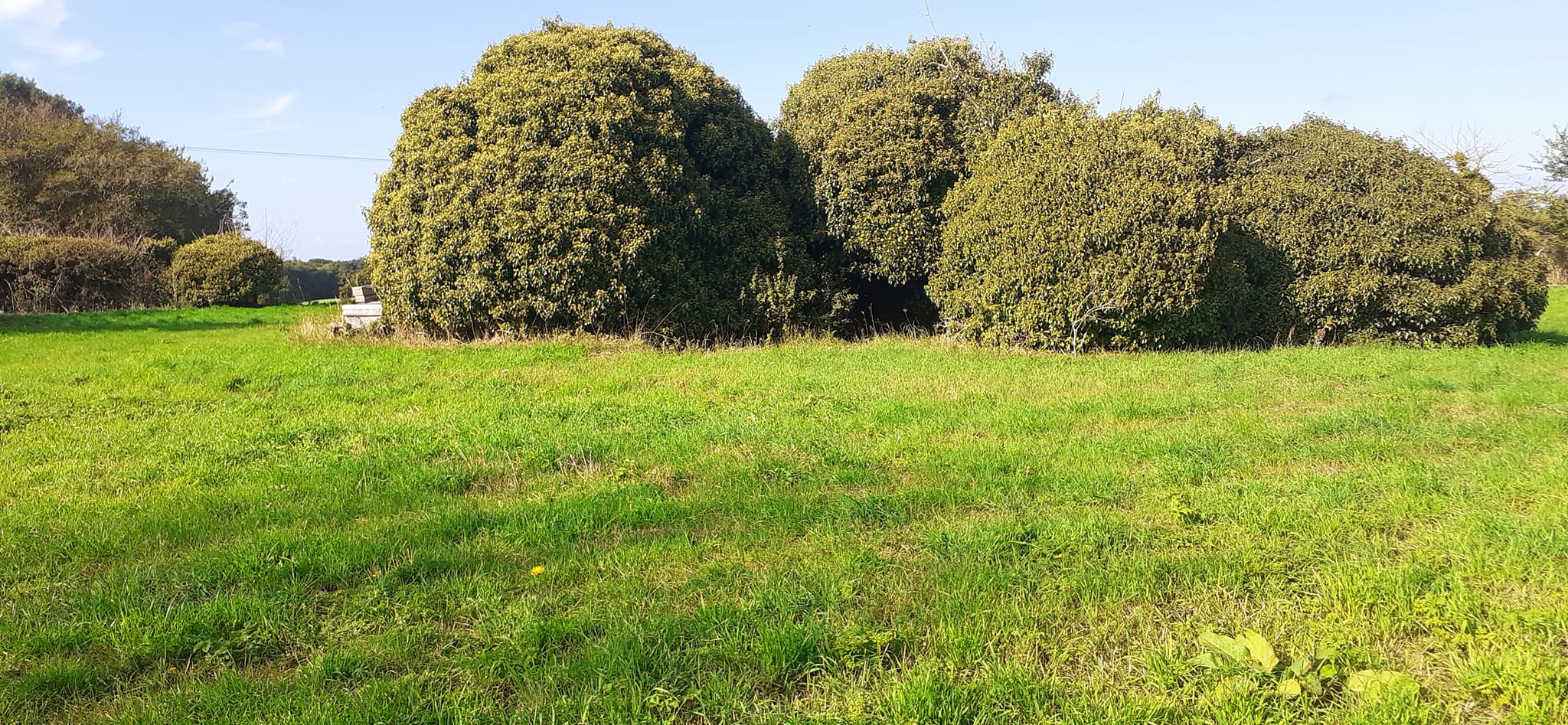 2022-10-02 10 Angles Way 24 - Flixton.jpg