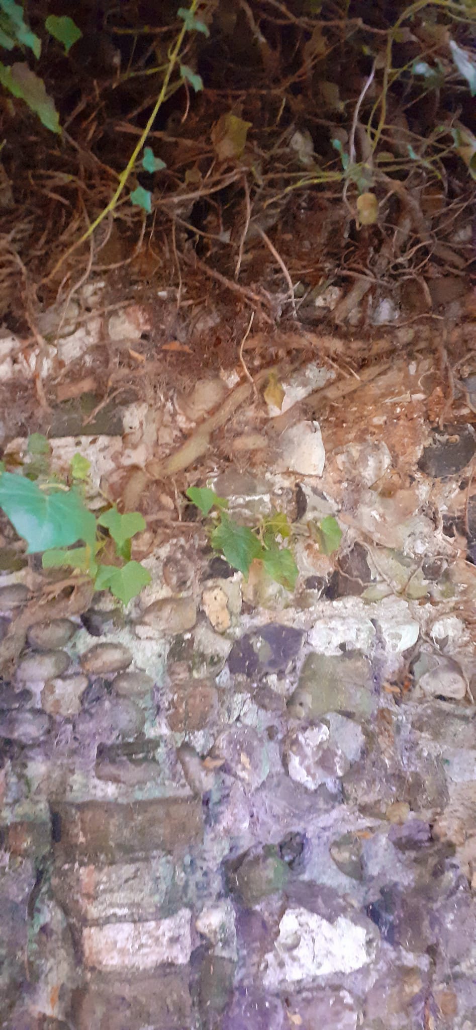 2022-10-02 11 Angles Way 24 - Flixton.jpg