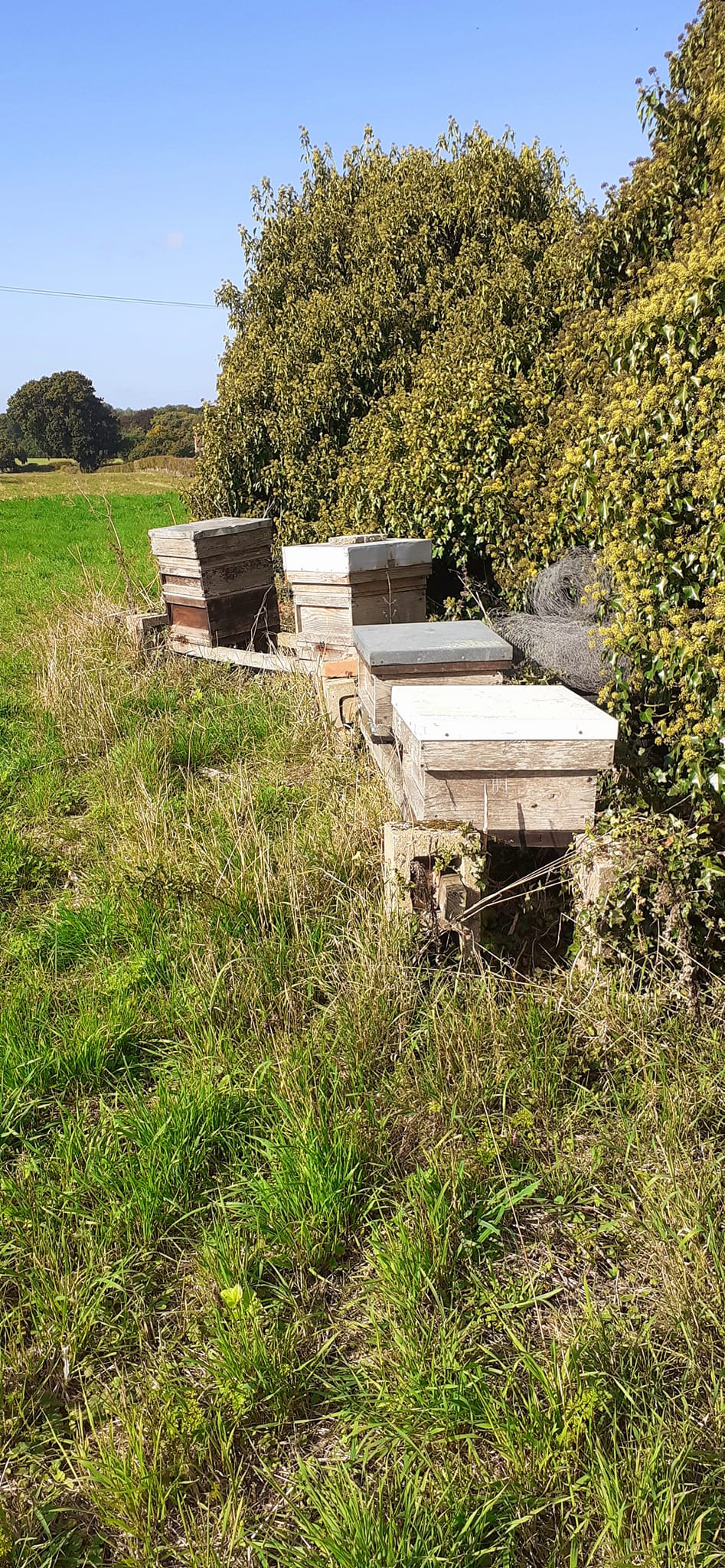 2022-10-02 12 Angles Way 24 - Flixton.jpg